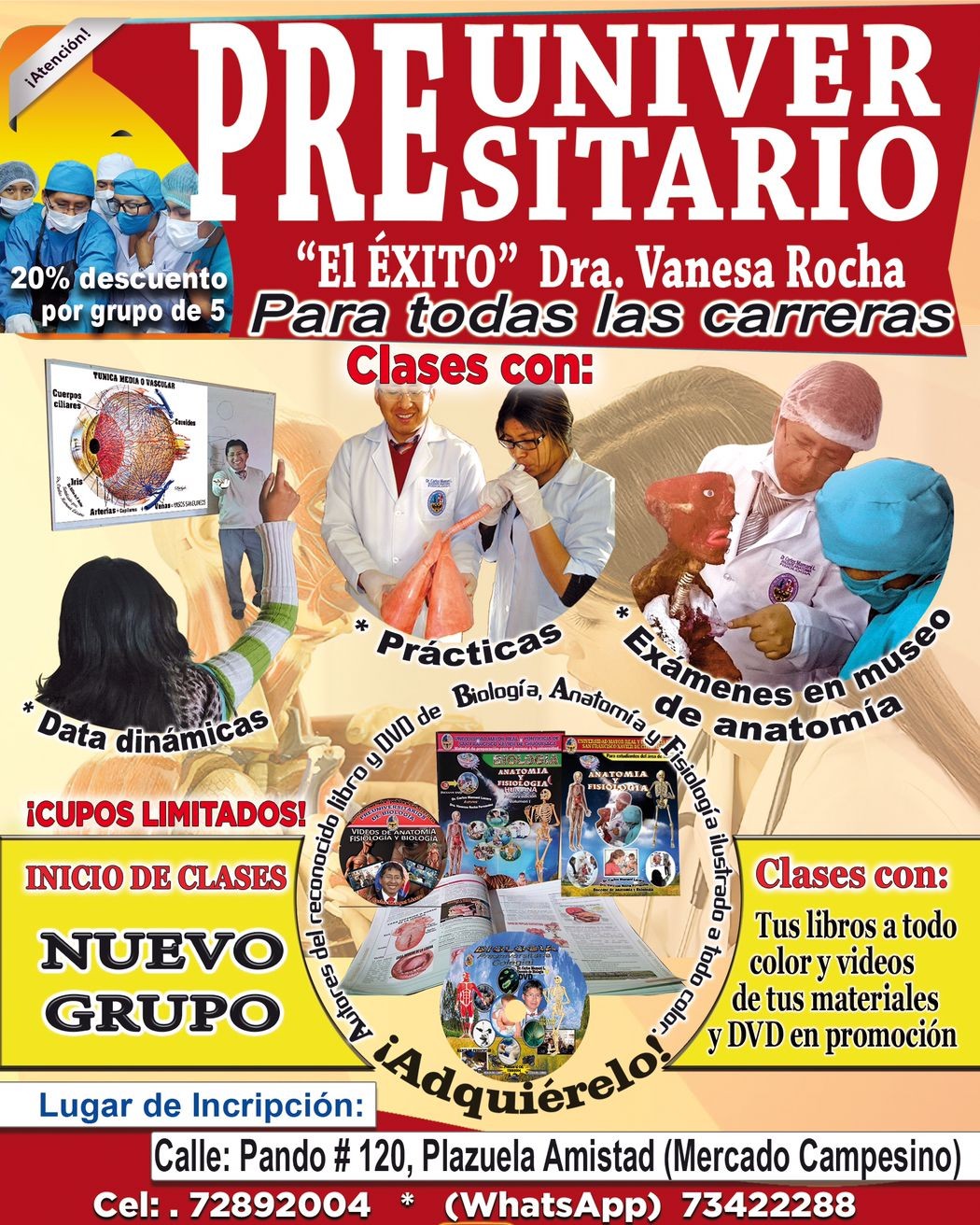 Cursos Preuniversitarios para todas las carreras